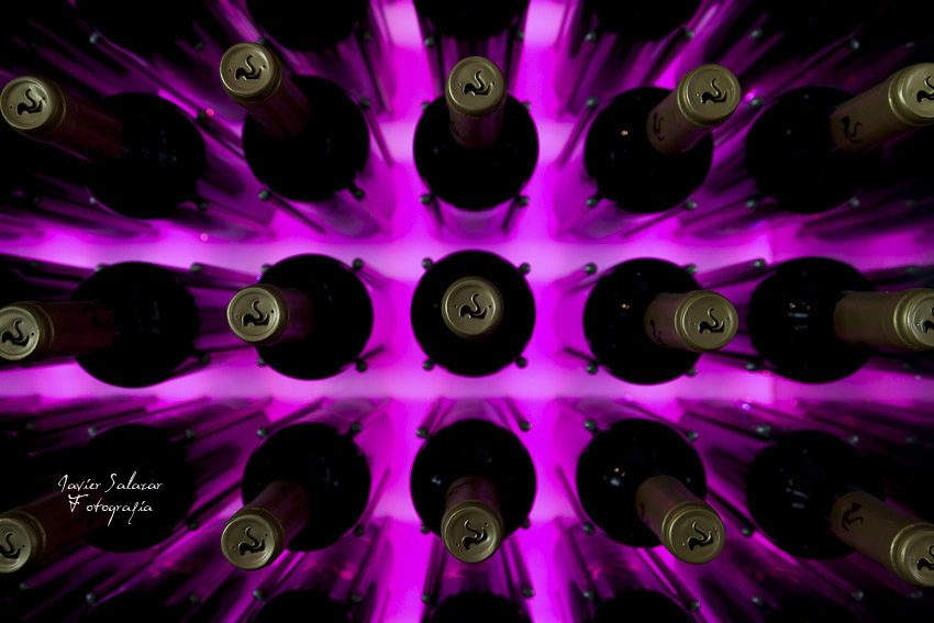 Bodega