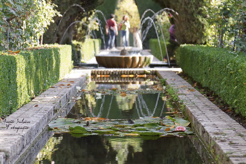 El agua en la Alhambra