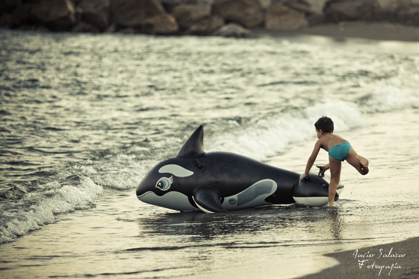 El niño y la Orca asesina