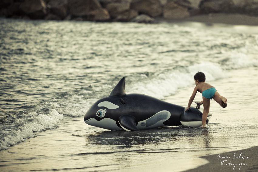 El niño y la Orca asesina