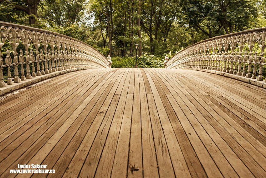 Puentes de Central Park