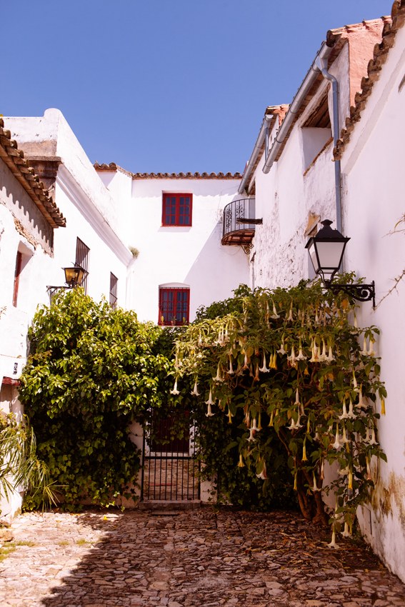 Andalucía sólo hay una