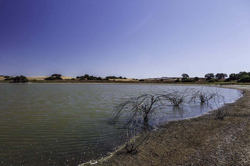 Humedales en Las Cabezas de San Juan
