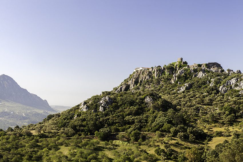Castillo del Águila, Gaucín