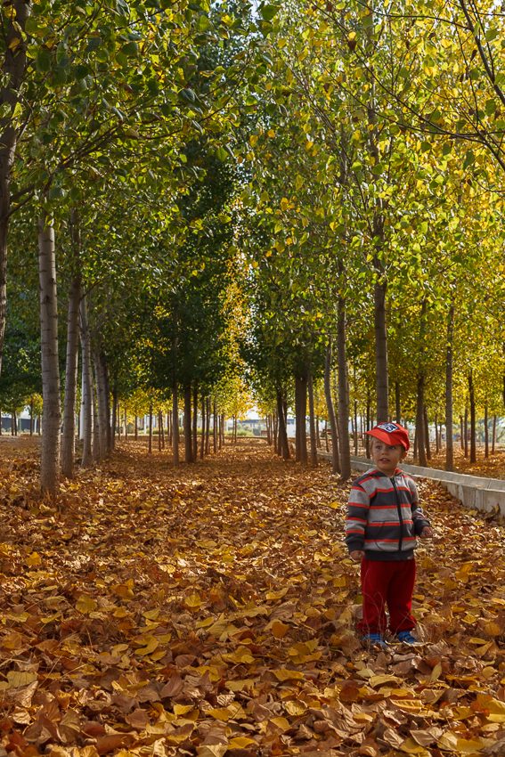 Conociendo el otoño